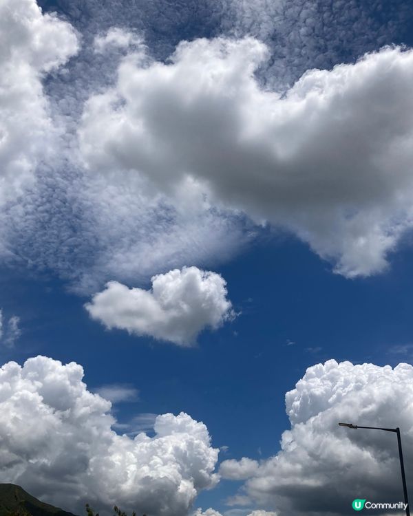 藍天白雲 蜆肉蒸雞蛋 週末的小幸運
