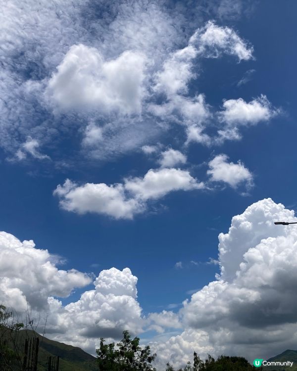 藍天白雲 蜆肉蒸雞蛋 週末的小幸運