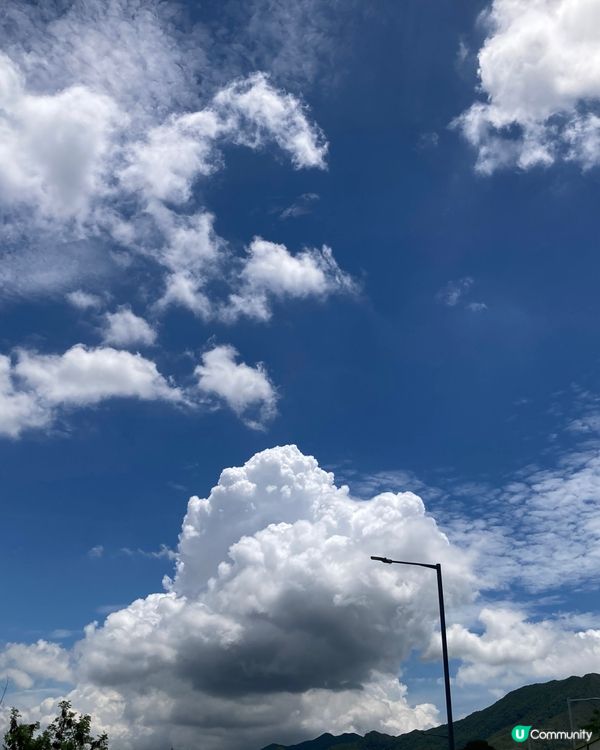 藍天白雲 蜆肉蒸雞蛋 週末的小幸運