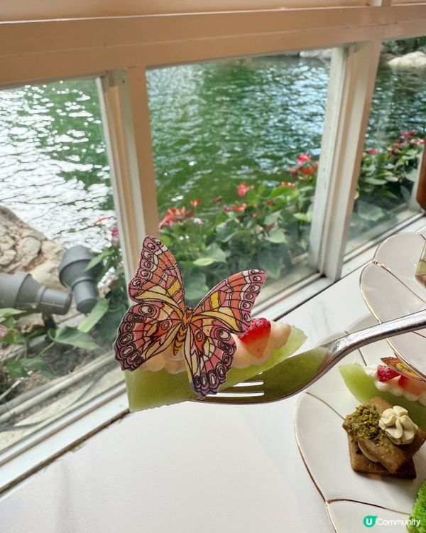 【 仲夏浮夢Summer Dream下午茶 】