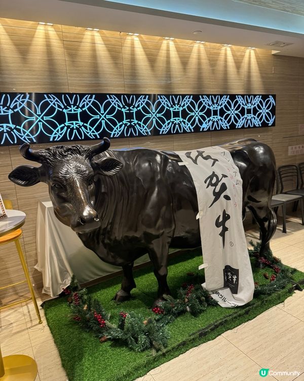 銅鑼灣超正自助餐🦞🍣🥩海鮮刺身和牛樣樣都有！慶生畫碟好開心😁