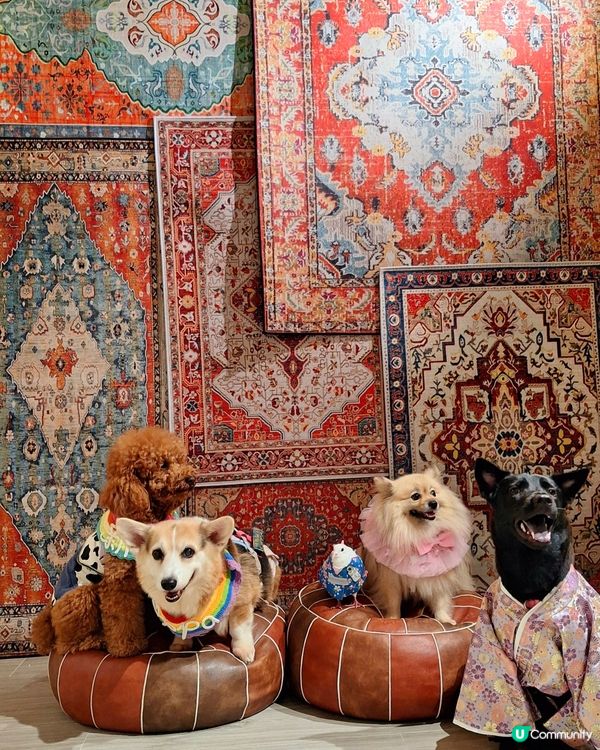 𝑁𝑜 𝑊𝑜𝑟𝑘 𝑂𝑛 𝐼𝑠𝑙𝑎𝑛