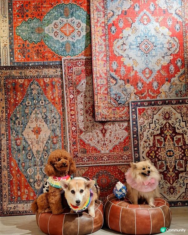 𝑁𝑜 𝑊𝑜𝑟𝑘 𝑂𝑛 𝐼𝑠𝑙𝑎𝑛