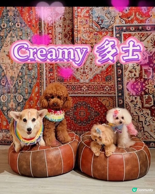 𝑁𝑜 𝑊𝑜𝑟𝑘 𝑂𝑛 𝐼𝑠𝑙𝑎𝑛