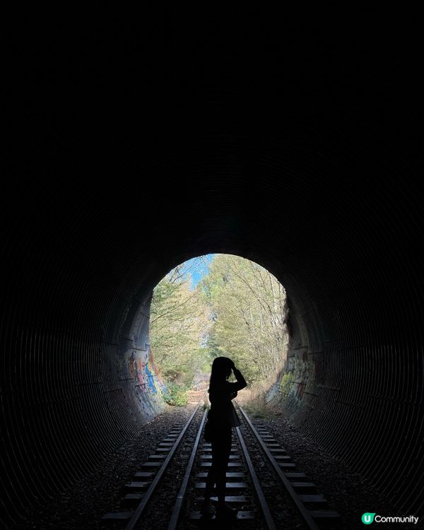 Adelaide 阿德萊德 小眾打卡影相位