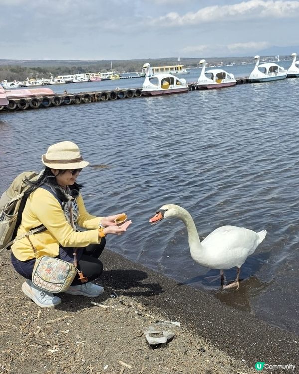 🔥東京旅行攻略 🇯🇵  富士山六景打卡一日遊