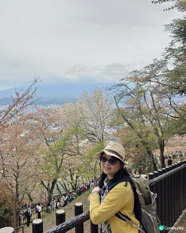 🔥東京旅行攻略 🇯🇵  富士山六景打卡一日遊