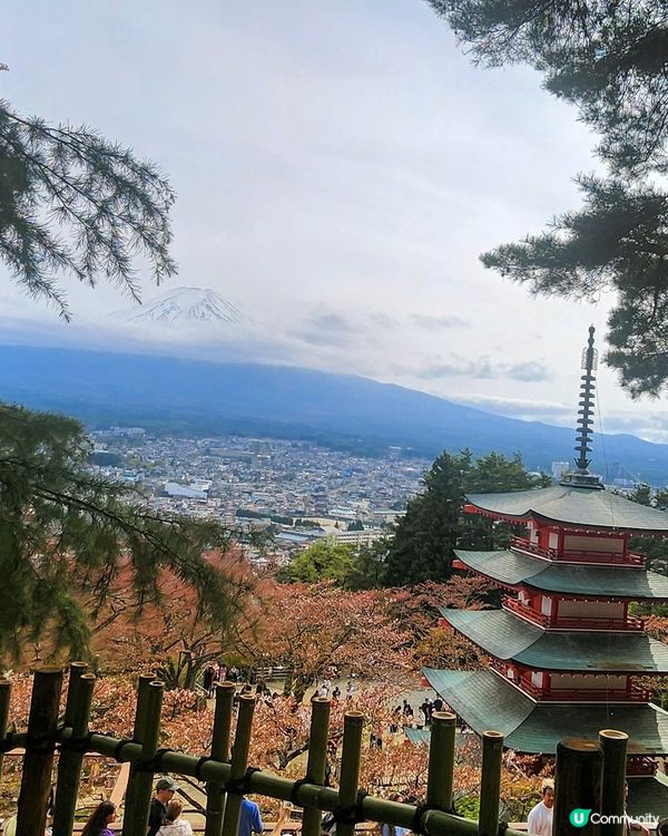 🔥東京旅行攻略 🇯🇵  富士山六景打卡一日遊