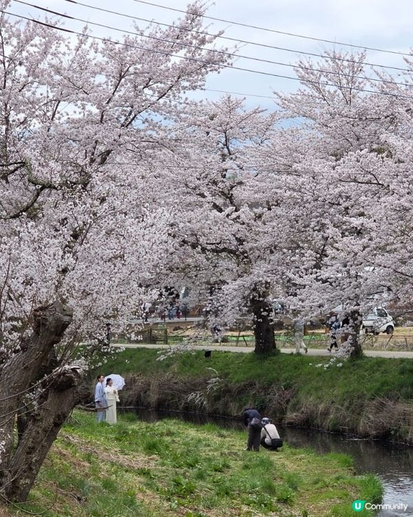 🔥東京旅行攻略 🇯🇵  富士山六景打卡一日遊