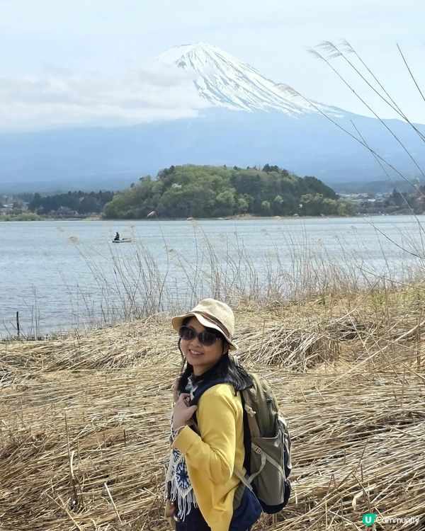 🔥東京旅行攻略 🇯🇵  富士山六景打卡一日遊