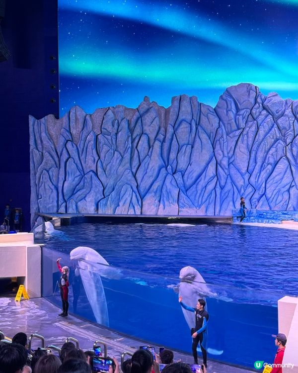 暑假親子遊必去！珠海長隆海洋王國🐬🐠🐳