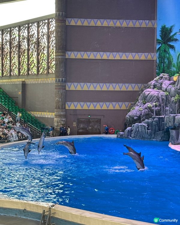 暑假親子遊必去！珠海長隆海洋王國🐬🐠🐳