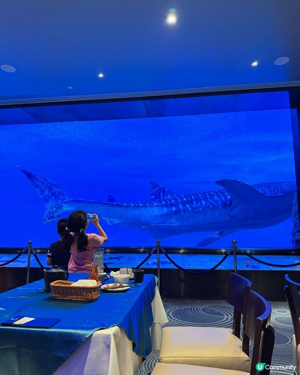 暑假親子遊必去！珠海長隆海洋王國🐬🐠🐳