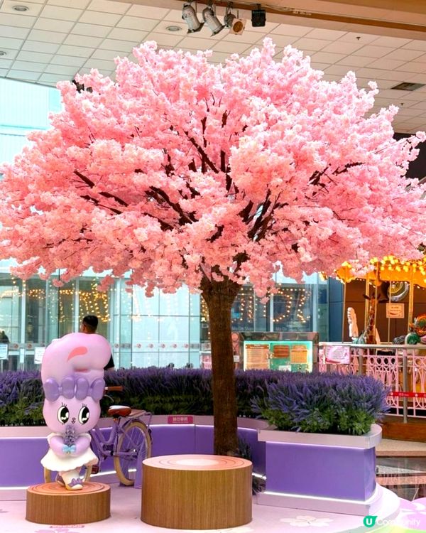 🩷🐰Esther Bunny馬鞍山廣場粉嫩打卡點🌸