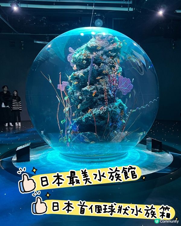 ［大阪景點］🐟🐠日本最美水族館x 全日本第一個球形水族箱
