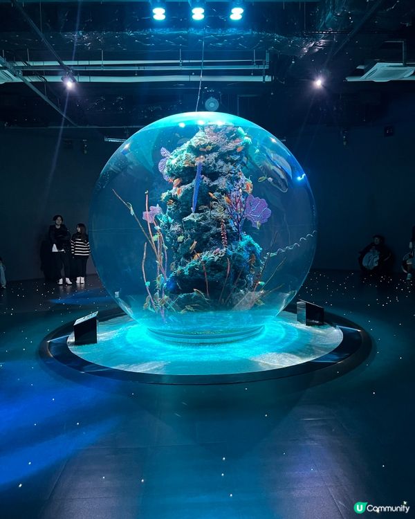 ［大阪景點］🐟🐠日本最美水族館x 全日本第一個球形水族箱