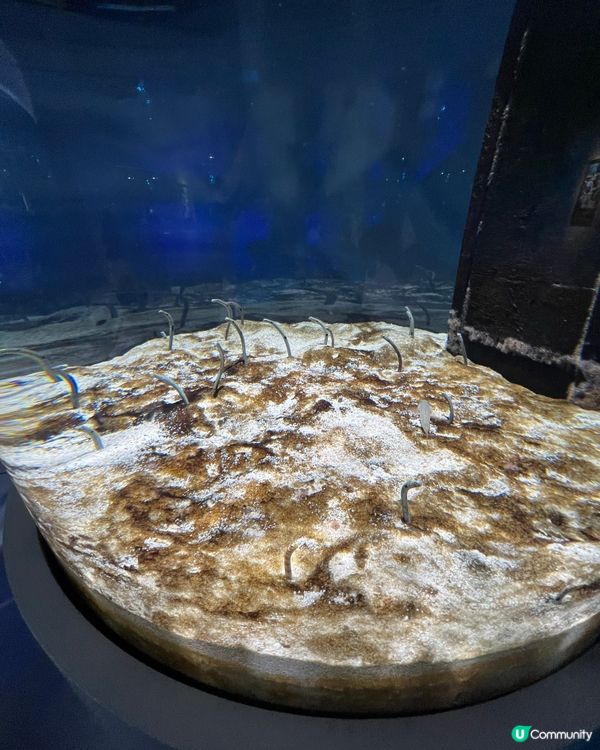 ［大阪景點］🐟🐠日本最美水族館x 全日本第一個球形水族箱