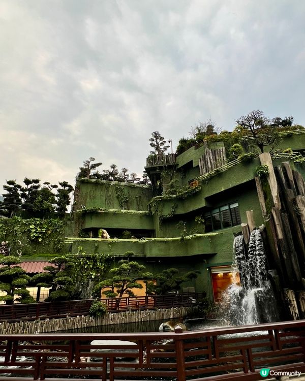【香港隱世唐風庭園🌿鑽石山南蓮園池の穿越指南】