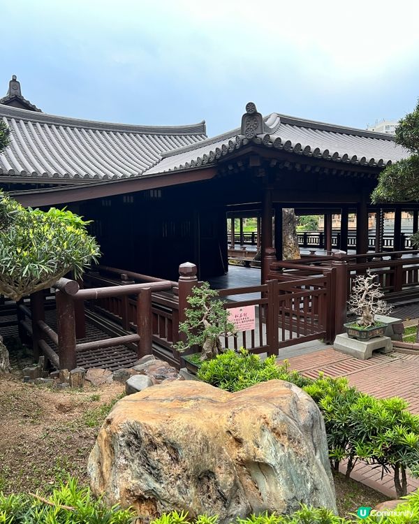 【香港隱世唐風庭園🌿鑽石山南蓮園池の穿越指南】