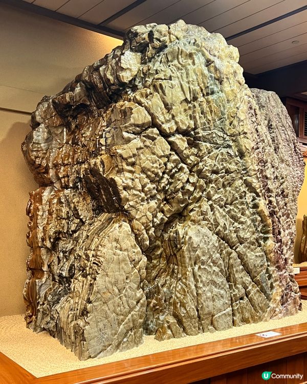 【香港隱世唐風庭園🌿鑽石山南蓮園池の穿越指南】