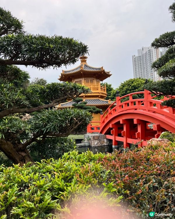 【香港隱世唐風庭園🌿鑽石山南蓮園池の穿越指南】