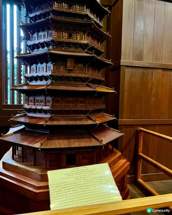 【香港隱世唐風庭園🌿鑽石山南蓮園池の穿越指南】