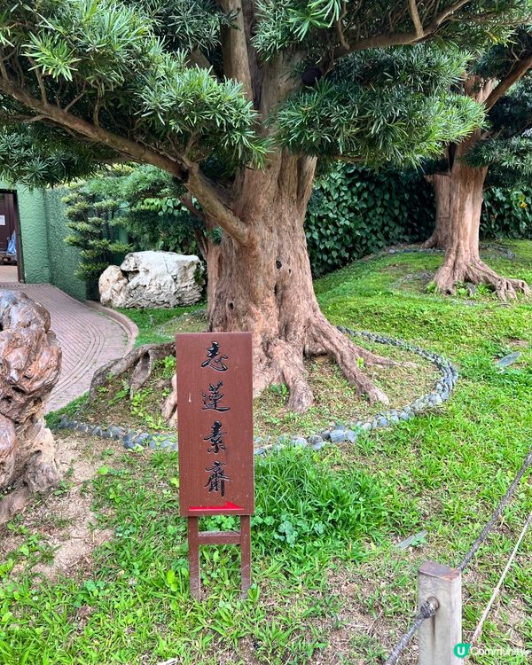【香港隱世唐風庭園🌿鑽石山南蓮園池の穿越指南】