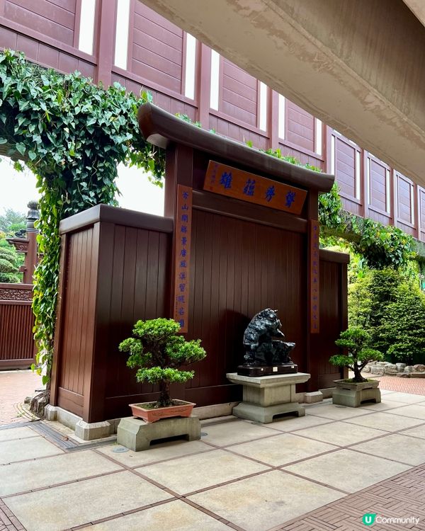 【香港隱世唐風庭園🌿鑽石山南蓮園池の穿越指南】