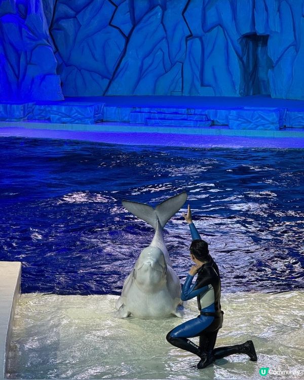 珠海長隆超級好玩海洋世界