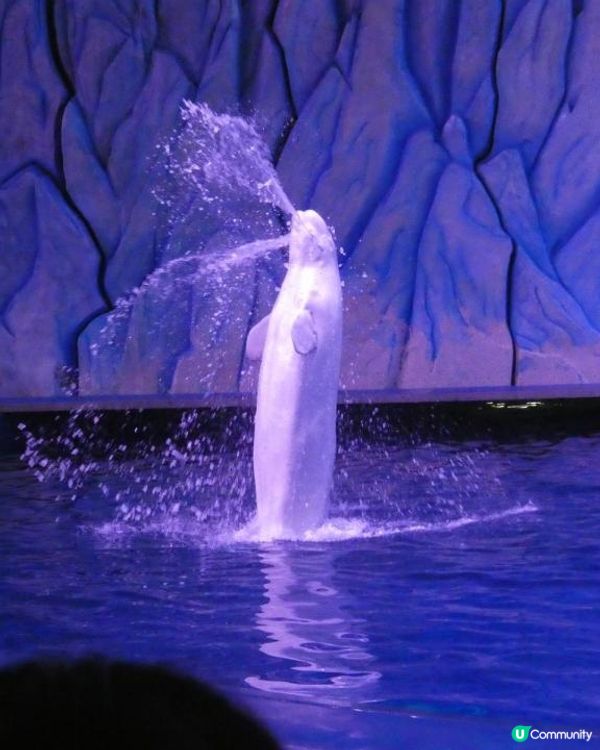 珠海長隆超級好玩海洋世界