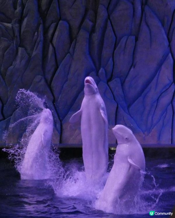 珠海長隆超級好玩海洋世界