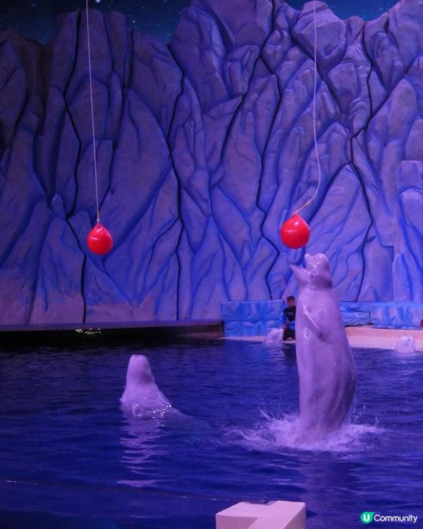 珠海長隆超級好玩海洋世界