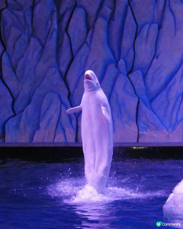 珠海長隆超級好玩海洋世界