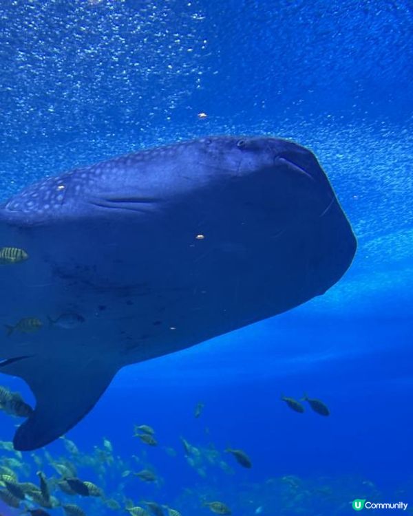 珠海長隆超級好玩海洋世界