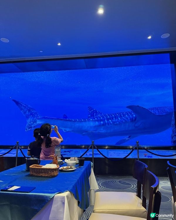 珠海長隆超級好玩海洋世界