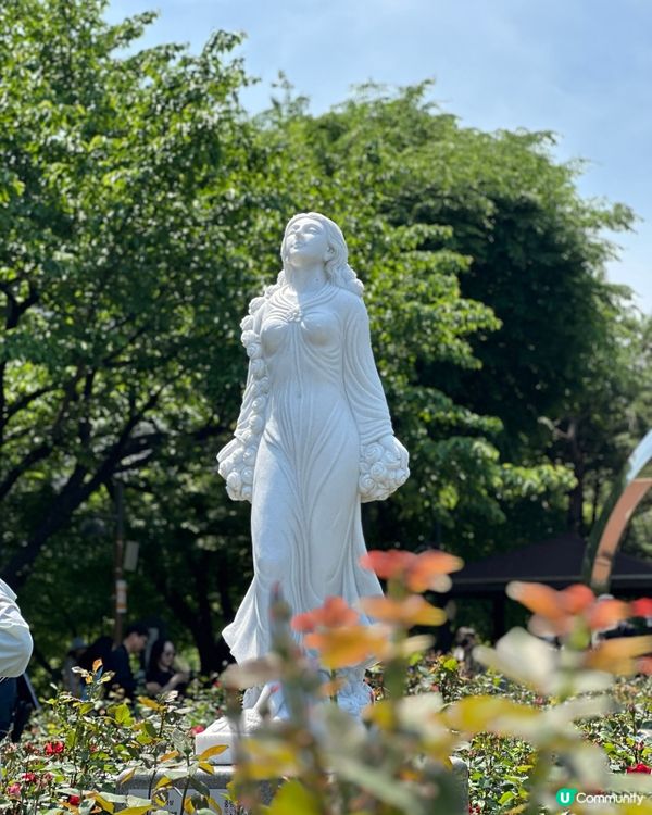 【🇰🇷韓國首爾5月旅行景點推薦】答應我一定要嚟呢度睇玫瑰花 🌹