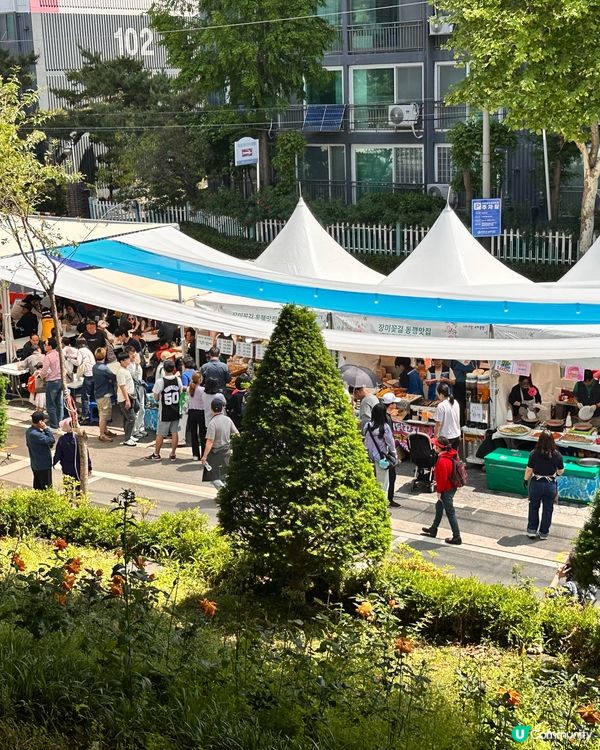 【🇰🇷韓國首爾5月旅行景點推薦】答應我一定要嚟呢度睇玫瑰花 🌹