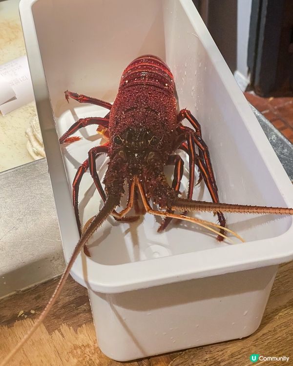 尖沙咀｜天婦羅。喜天丼