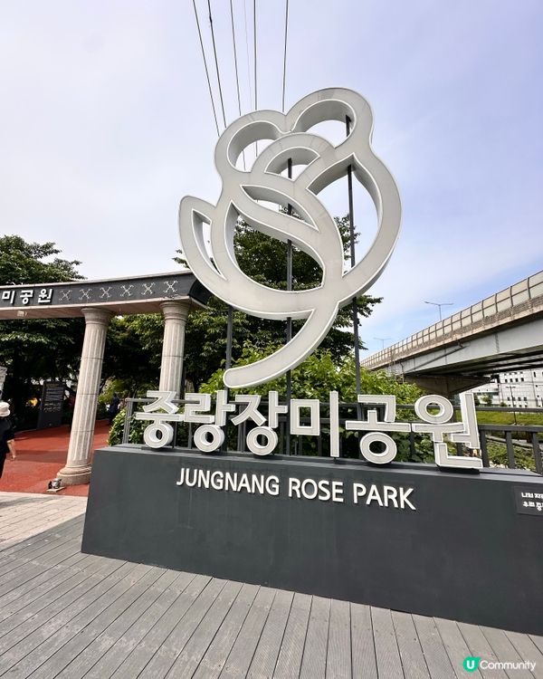 【🇰🇷韓國首爾5月旅行景點推薦】答應我一定要嚟呢度睇玫瑰花 🌹