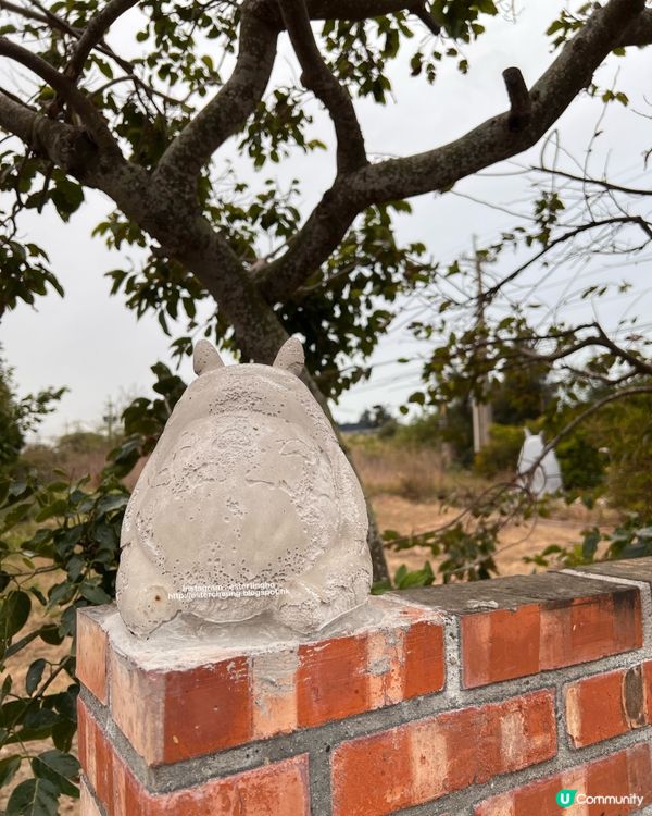 苗栗隱蔽打卡景點 💕 通霄龍貓公車站