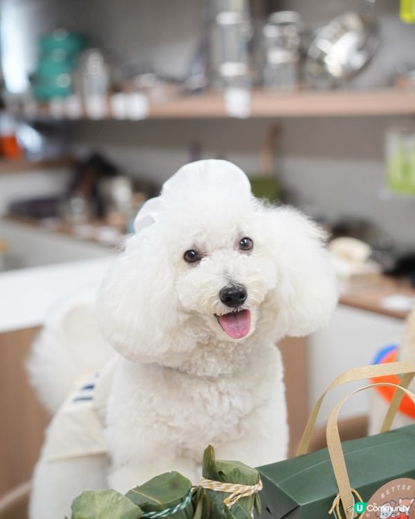 端午節就到 我要做「粽系」大富翁