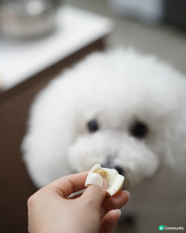 端午節就到 我要做「粽系」大富翁