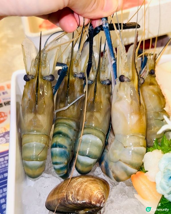 《觀塘·必食火鍋放題》 🦐 靚牛大頭蝦任食 🦐