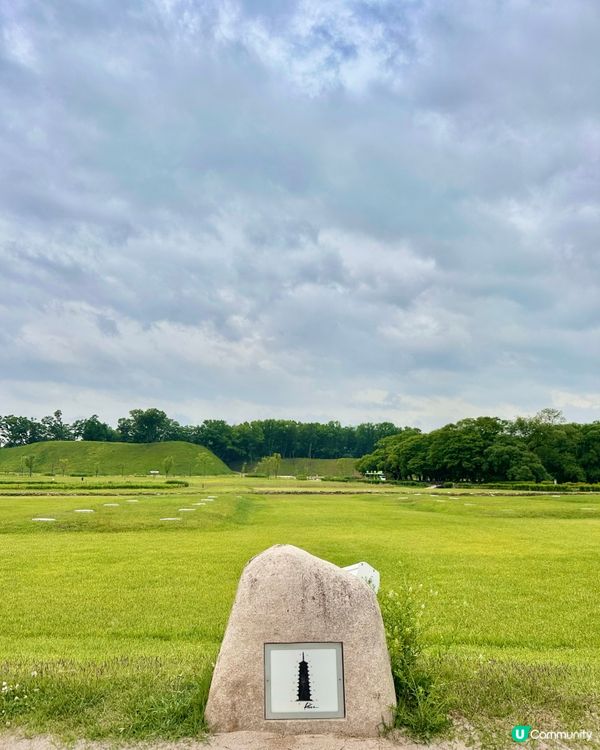 🇰🇷韓國慶州賞花推薦🌺🌼🌸🌹 一大片花海超夢幻😍💯