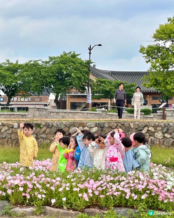 🇰🇷韓國慶州賞花推薦🌺🌼🌸🌹 一大片花海超夢幻😍💯