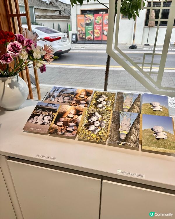 🇰🇷慶州旅行必去‼️Miffy兔迷🐰必打卡手信店‼️