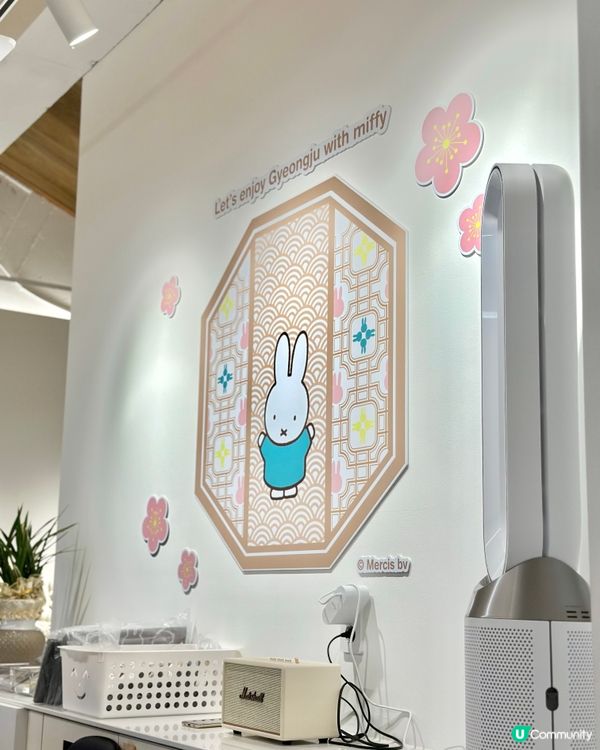 🇰🇷慶州旅行必去‼️Miffy兔迷🐰必打卡手信店‼️