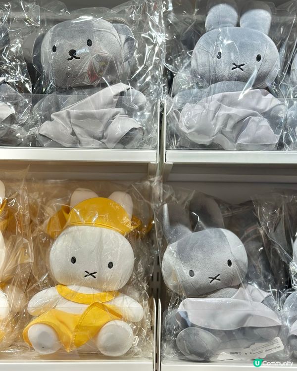 🇰🇷慶州旅行必去‼️Miffy兔迷🐰必打卡手信店‼️