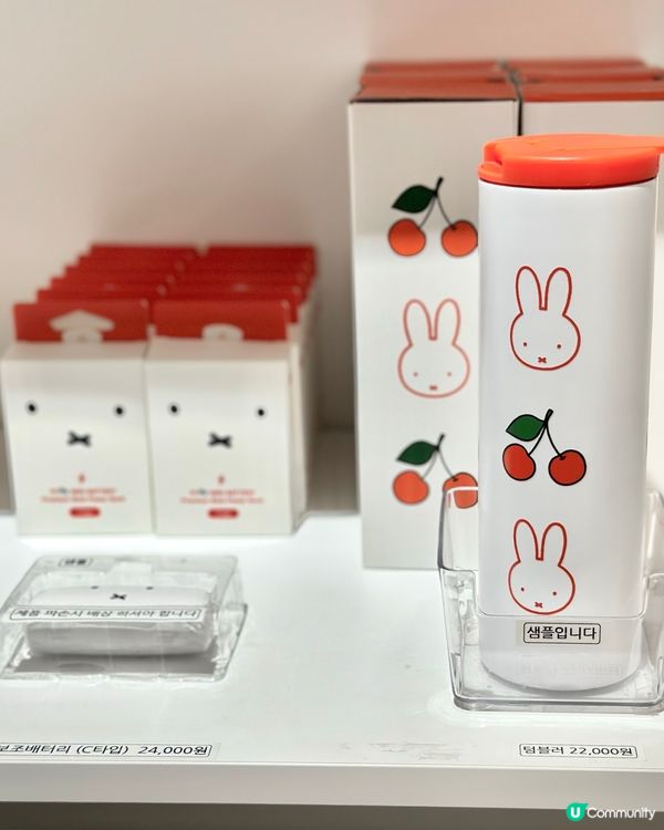 🇰🇷慶州旅行必去‼️Miffy兔迷🐰必打卡手信店‼️