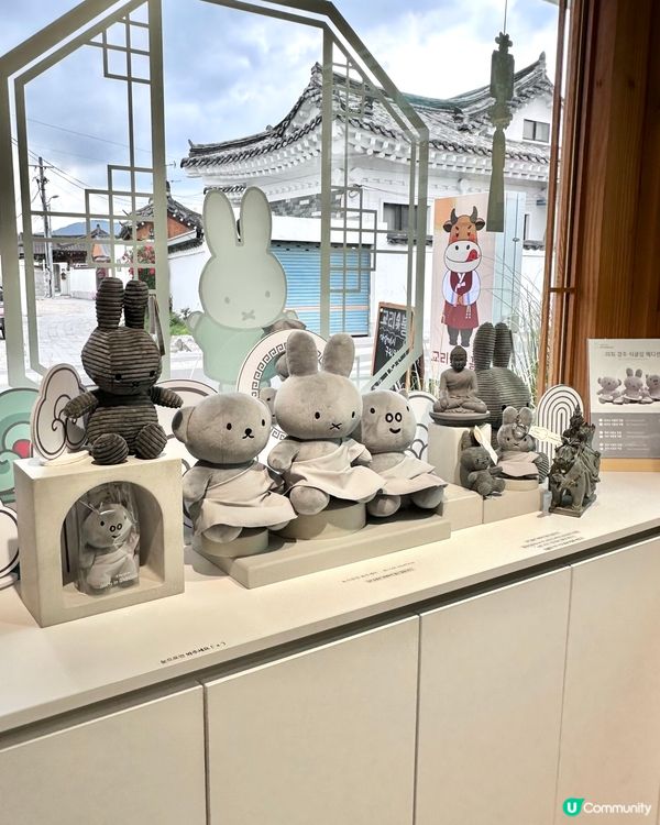 🇰🇷慶州旅行必去‼️Miffy兔迷🐰必打卡手信店‼️